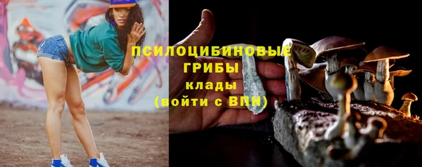 прущие крисы Губаха