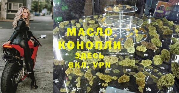 герыч Каменногорск