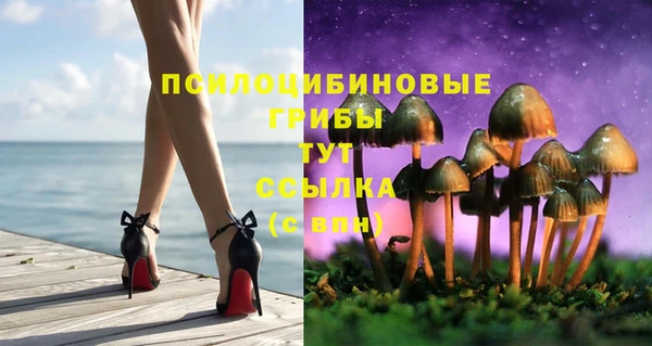 герыч Каменногорск