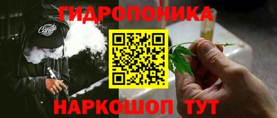 прущие грибы Кунгур